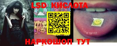 стаф Берёзовский
