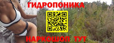 прущая мука Бийск