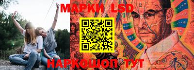 стаф Берёзовский