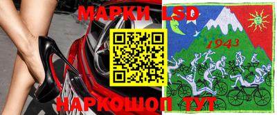 стаф Берёзовский
