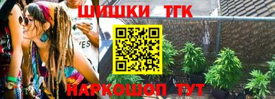 стаф Берёзовский