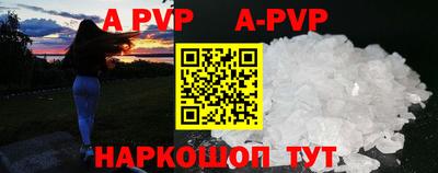 стаф Берёзовский