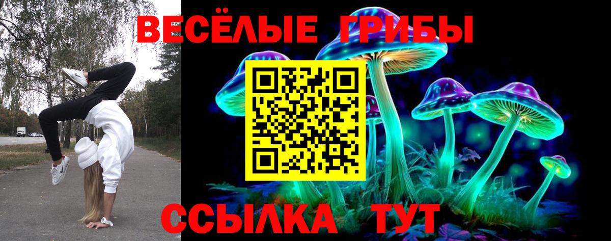 Псилоцибиновые грибы MAGIC MUSHROOMS  Галлюциногенные грибы GOLDEN TEACHER  Вход с VPN  продажа наркотиков  Шуя 