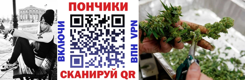 сайты даркнета официальный сайт  Шуя  Канабис Bruce Banner 